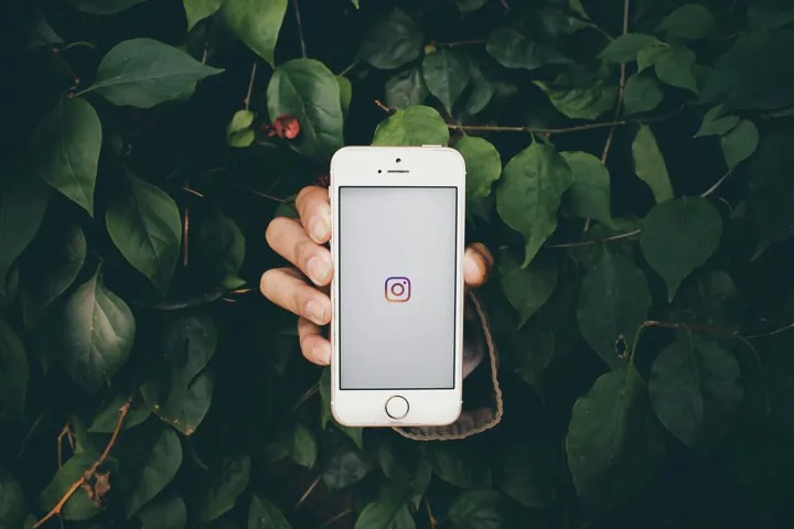 Aesthetic Feed Design Tips for a Professional Look
